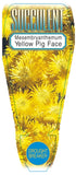 Mesembryanthemum (Yellow)