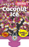 Nemesia Coconut Ice