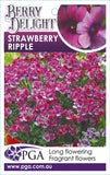 Nemesia Strawberry Ripple Flowerburst