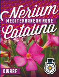 Nerium oleander Catalina