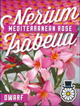 Nerium oleander Isabella