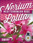 Nerium oleander Lolita