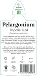 Pelargonium Imperial Red