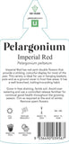 Pelargonium Imperial Red