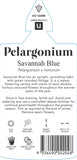 Pelargonium Savannah Blue