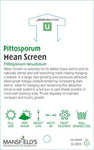 Pittosporum Mean Screen