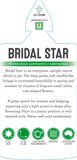 Ricinocarpos Bridal Star