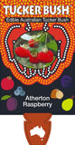 Rubus probus (Tucker Bush Atherton Raspberry)