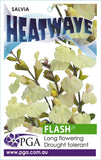 Salvia Heatwave Flash