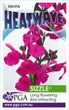 Salvia Heatwave Sizzle