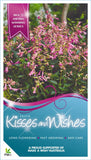 Salvia Kisses and Wishes