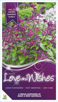 Salvia Love and Wishes