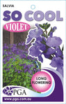 Salvia So Cool Violet