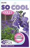 Salvia So Cool Violet