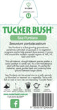 Sesuvium portulacastrum (Tucker Bush Sea Purslane)