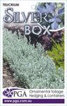 Teucrium Silver Box