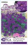 Verbena Tapien Purple Passion