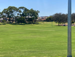 Kikuyu Lawn